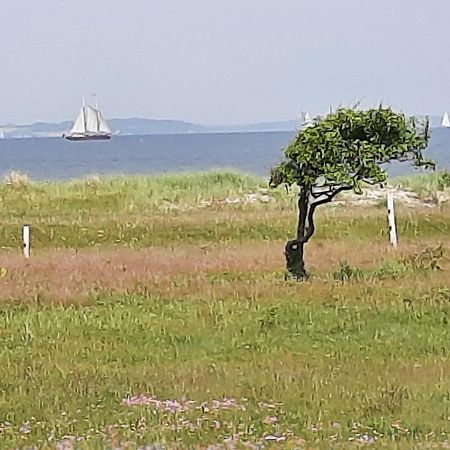 Wormshoeft 16 Hasselberg  Екстер'єр фото
